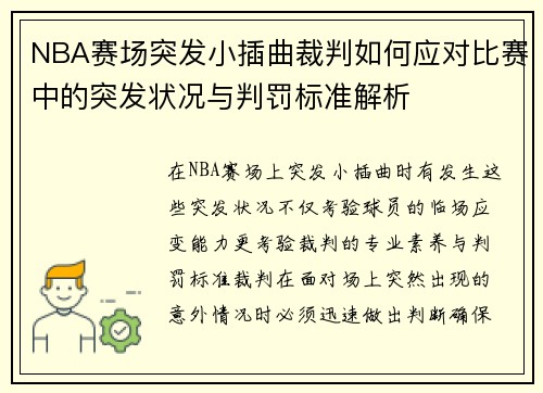 NBA赛场突发小插曲裁判如何应对比赛中的突发状况与判罚标准解析