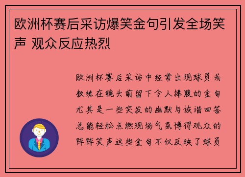 欧洲杯赛后采访爆笑金句引发全场笑声 观众反应热烈